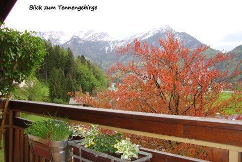 Appartement Haus Margrit In Sonnenlage Golling an der Salzach